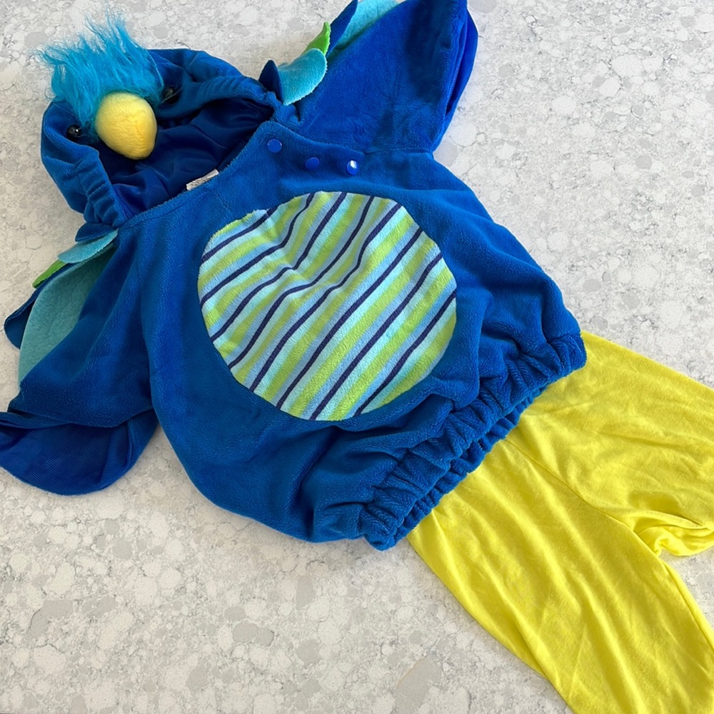 Peacock Halloween costume for boy or girl